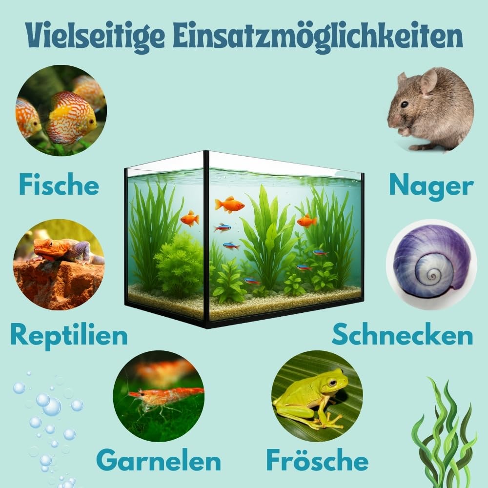 garpet-tierwelt-aquarium-becken-glas-30x20x20-nano image 3