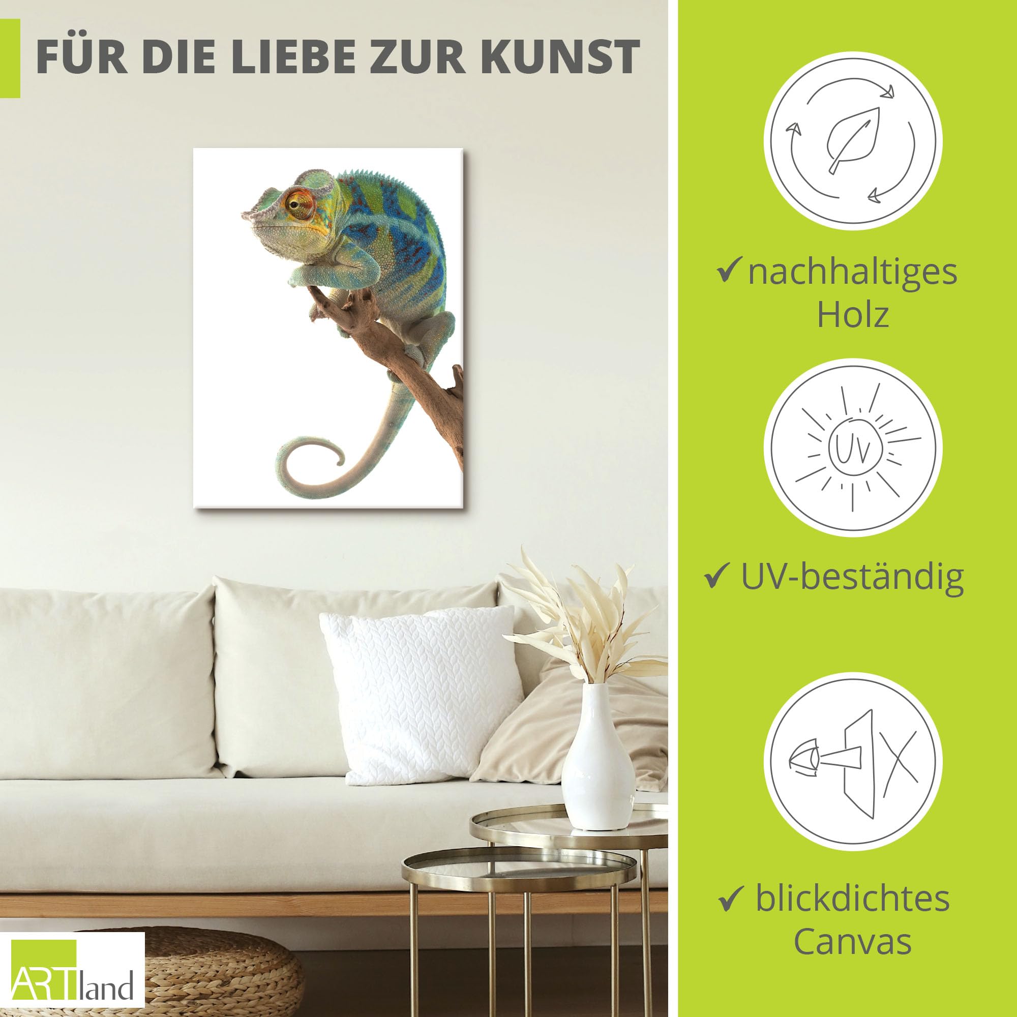 artland-leinwandbild-cham-leon-leinwand-60x45-cm-tiere image 2
