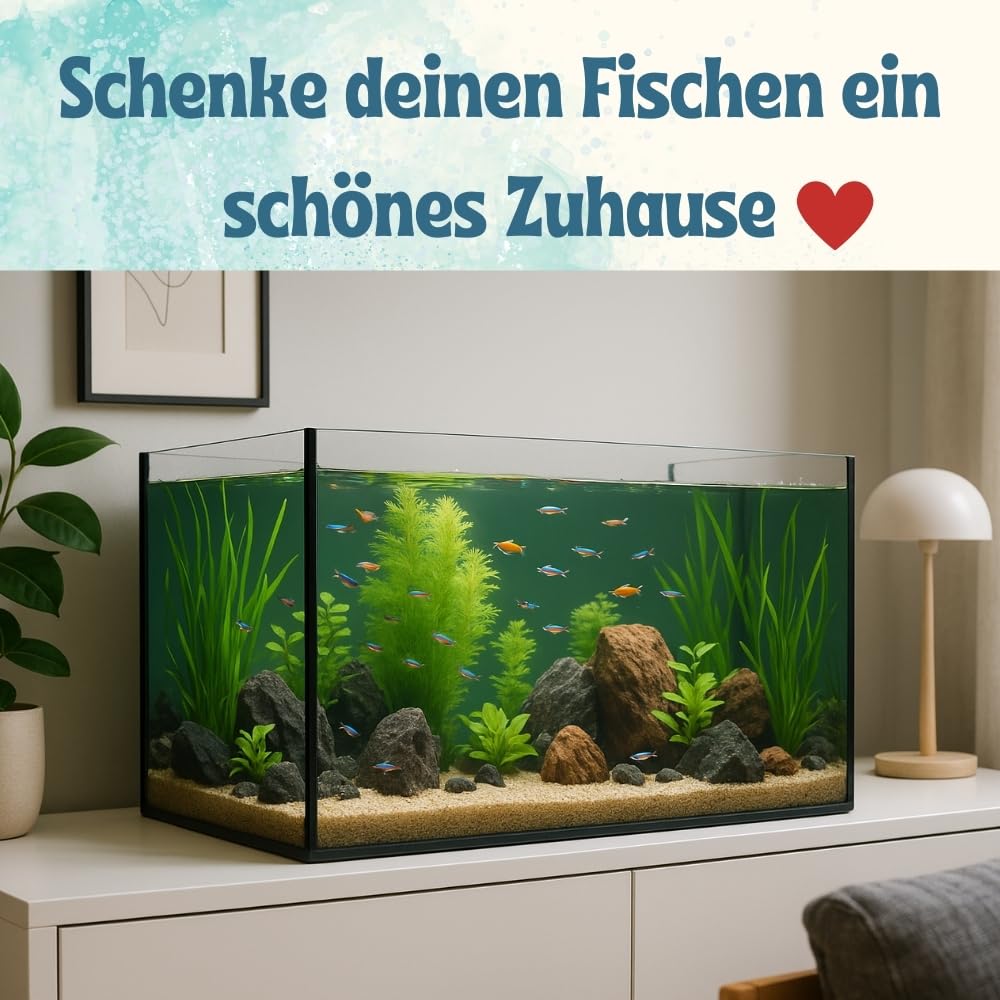 garpet-tierwelt-aquarium-becken-glas-30x20x20-nano image 5